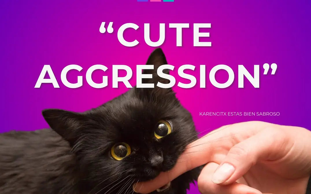 Tienes Ganas de Morder, Aquí tienes el Porqué!! - Cute Aggression